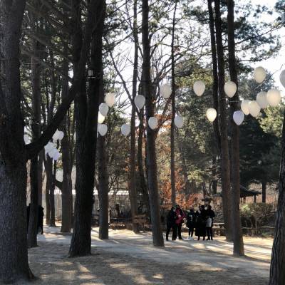 Photo review number 1273 from Naama Z
